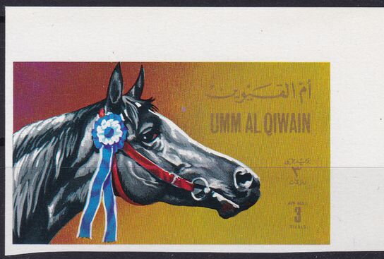 Horse (Equus ferus caballus)