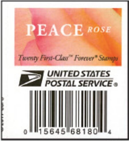 Peace Rose