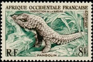 Stamp, Ground Pangolin (Manis temmincki), French Colonies,  , Mammals, Animals (Fauna)