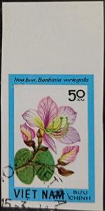 Stamp, Bauhinia variegata, Vietnam,  , Flowers, Orchids, Plants (Flora)