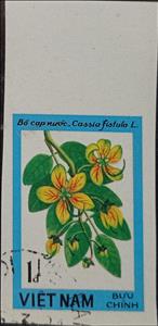 Stamp, Cassia fistula L., Vietnam,  , Flowers, Plants (Flora)