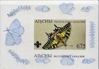 Butterfly