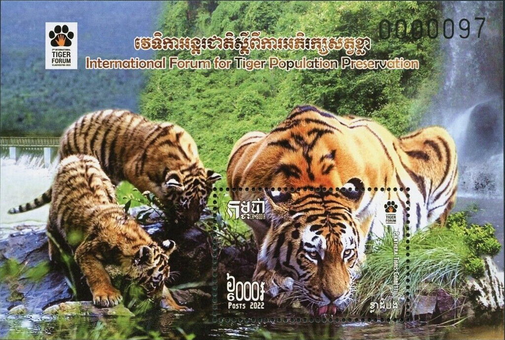 II International Tiger Forum, Vladivostok, Russia