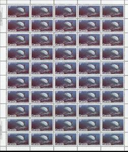 Full Pane, Atlantic Whitefish (Coregonus canadensis), Canada,  , Animals (Fauna), Fishes