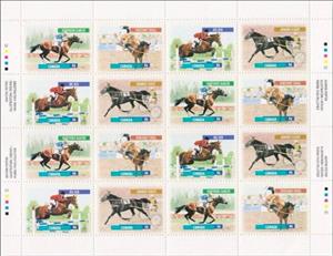 Full Pane, Canadian Horses, Canada,  , Animals (Fauna), Equestrianism and horse riding, Horses, Mammals, Sports