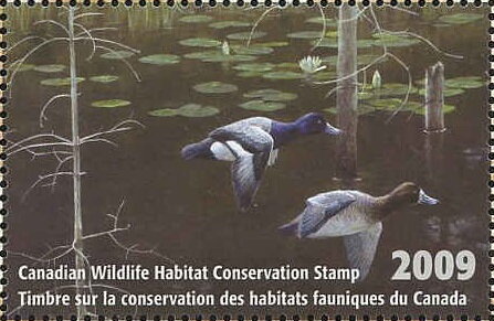 Stamp, Lesser scaup, Canada,  , Animals (Fauna), Birds, Ducks