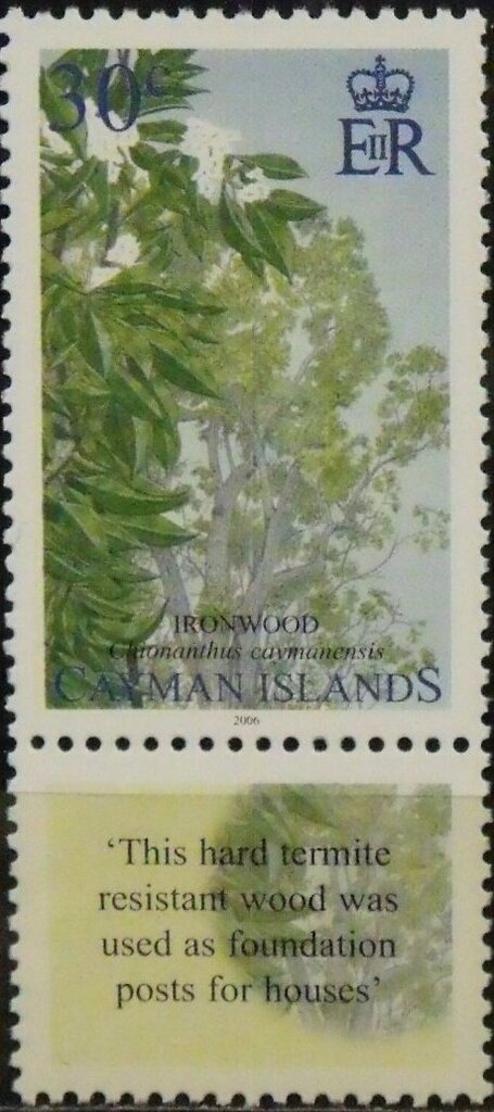 Ironwood (Chionanthus caymanensis)