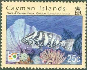Stamp, Nassau grouper, Cayman Islands,  
