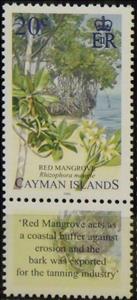 Stamp, Red mangrove (Rhizophora mangle), Cayman Islands,  , Trees