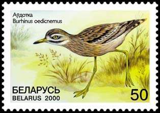 Stamp Rare Birds 
