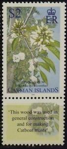 Stamp, Spanish Elm ( Cordia gerascanthus), Cayman Islands,  , Trees