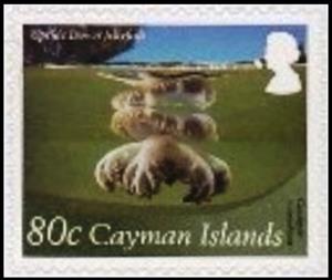 Stamp, Upside-down Jellyfish (Cassiopea xamachana), Cayman Islands,  , Animals (Fauna), Jellyfish, Sea Life