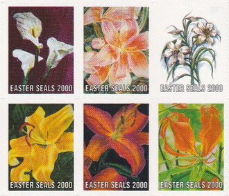 Easter Seals 2000