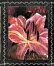 Easter Seals 2002