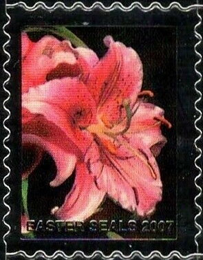 Easter Seals 2007
