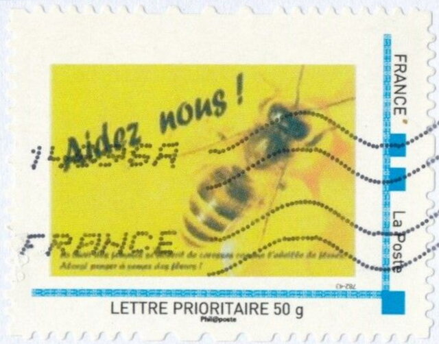 Bees and beekeeping. Aidez nous