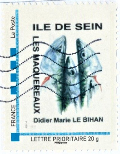 Ile de Sein. Les Maquereaux by Didier Marie Le Bihan