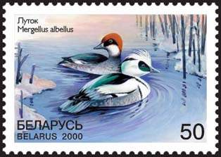 Stamp Rare Birds