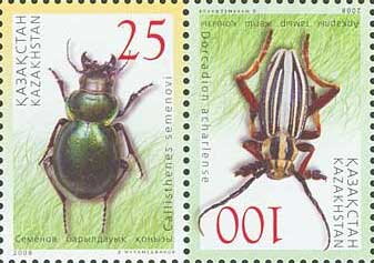 Beetles (2008)