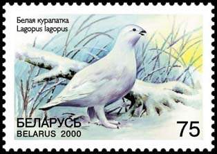 Stamp Rare Birds 
