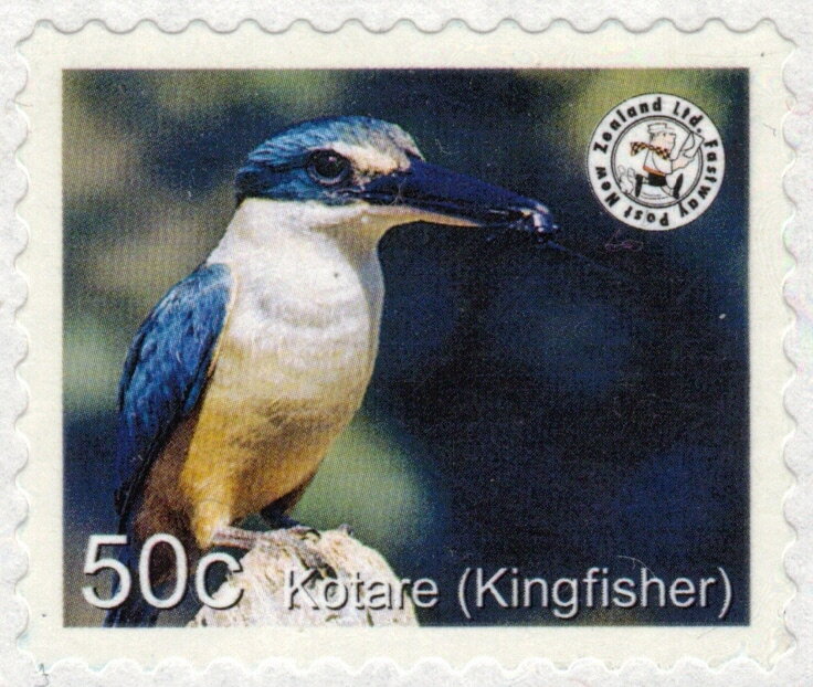 Birds Kotari Kingfisher - White Border