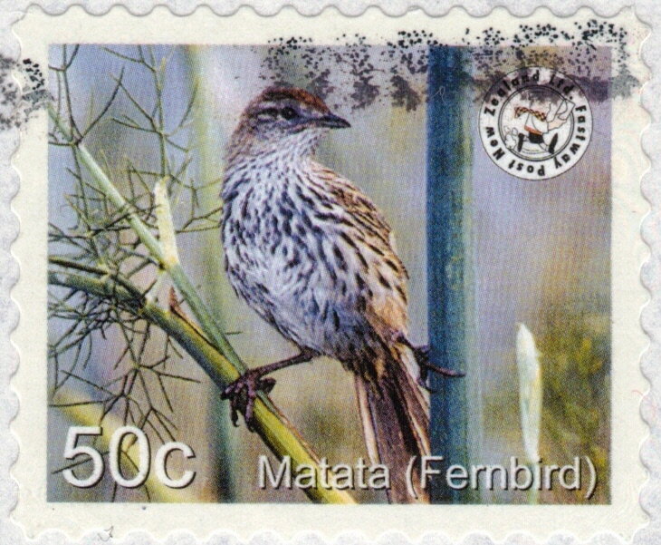 Fernbird - White Border
