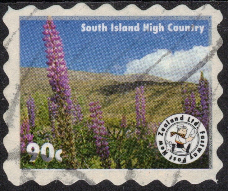 Lupins. South Island High Country - Small size