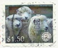 Stamp, Sheep - White Border, Personalized and Private Mail Stamps,  , Animals (Fauna), Mammals, Sheep