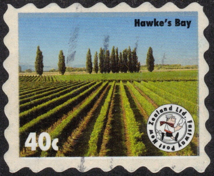 Vineyards, Hawke's Bay