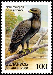 Stamp Rare Birds