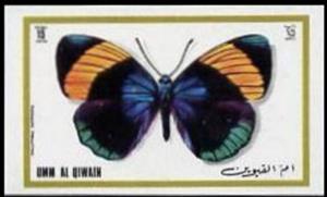 Stamp, Brush-footed Butterfly (Callithea sapphira), Umm al-Qiwain,  , Animals (Fauna), Butterflies, Insects