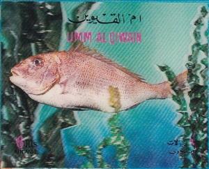 Stamp, Cichlid, Umm al-Qiwain,  , Animals (Fauna), Fishes