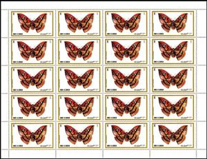 Full Pane, Cricula Silkmoth (Cricula trifenestrata), Umm al-Qiwain,  , Animals (Fauna), Butterflies, Insects