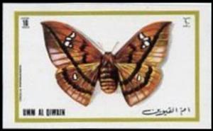 Stamp, Cricula Silkmoth (Cricula trifenestrata), Umm al-Qiwain,  , Animals (Fauna), Butterflies, Insects