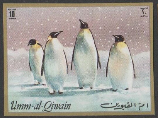 Emperor Penguin (Aptenodytes forsteri)
