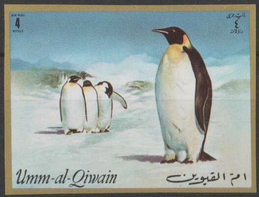 Emperor Penguin (Aptenodytes forsteri)