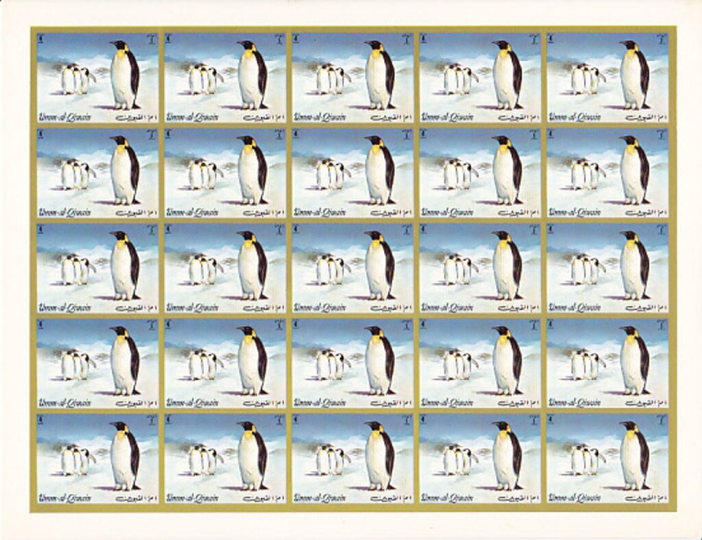 Emperor Penguin (Aptenodytes forsteri)