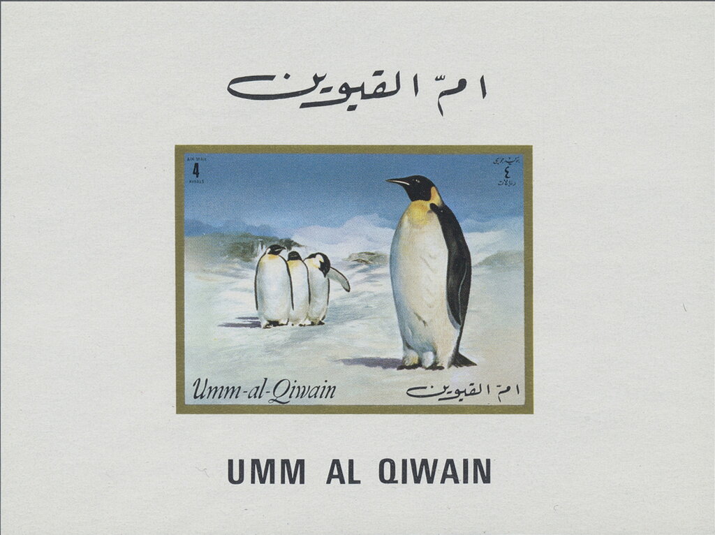 Emperor Penguin (Aptenodytes forsteri)