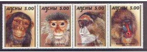 Monkeys