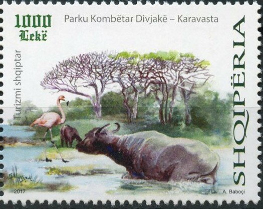 Flamingo and Water Buffalo