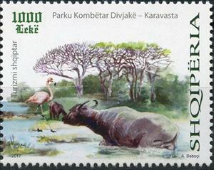 Stamp, Flamingo and Water Buffalo, Albania,  , Animals (Fauna), Birds, Landscapes, National Parks