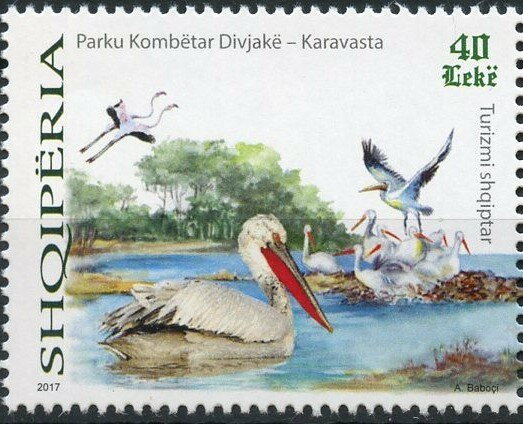 Pelicans