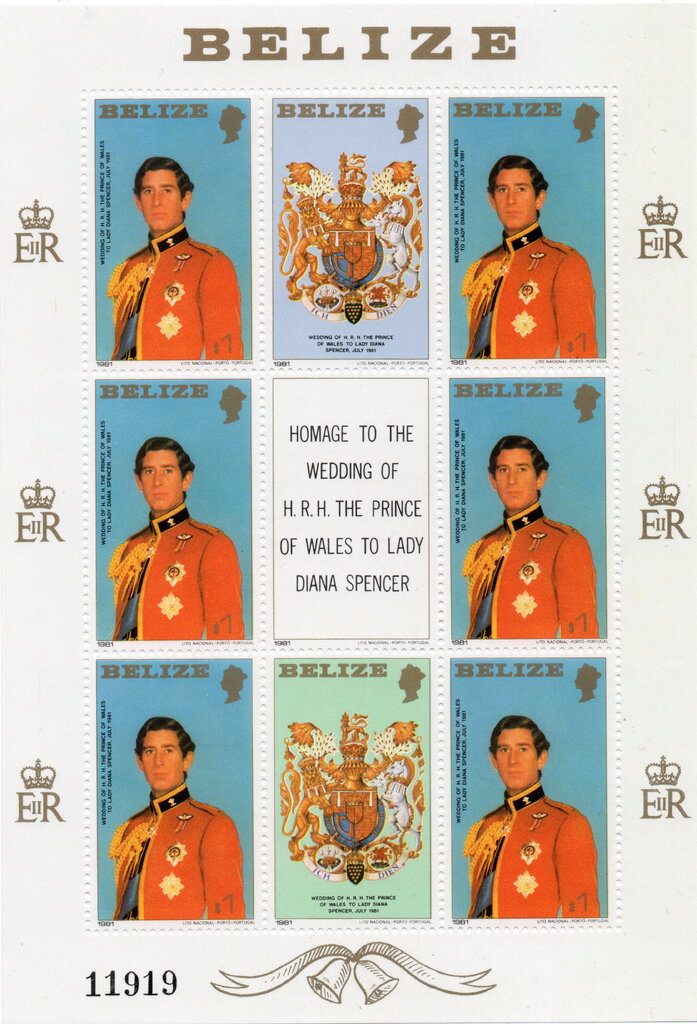 Prince Charles in Military Uniform