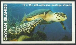 Booklet, Hawksbill Turtle (Eretmochelys imbricata), Cayman Islands,  , Sea Life, Turtles