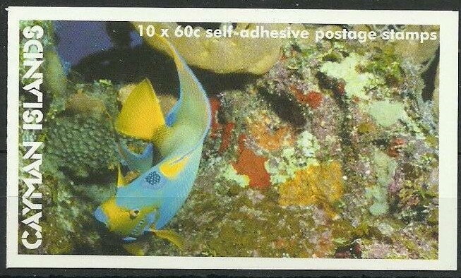 Queen Angelfish (Holacanthus ciliaris)