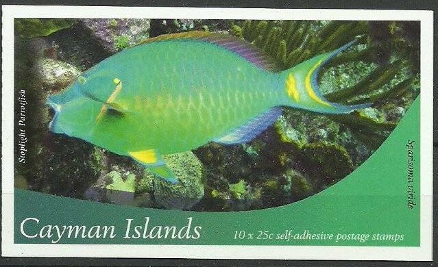 Stoplight Parrotfish (Sparisoma viride)