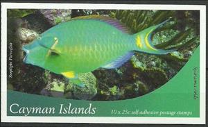 Booklet, Stoplight Parrotfish (Sparisoma viride), Cayman Islands,  , Fishes, Sea Life
