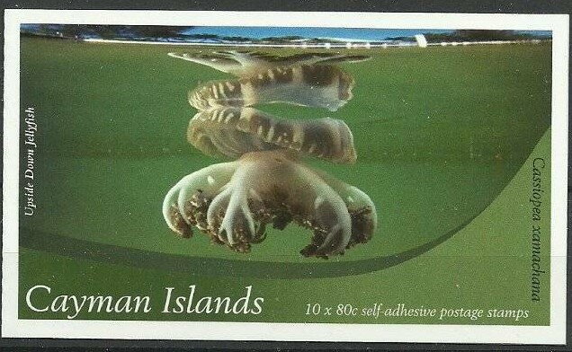 Upside-down Jellyfish (Cassiopea xamachana)