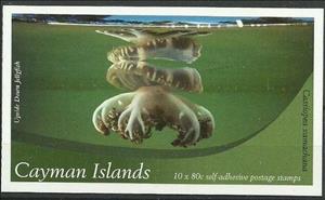 Booklet, Upside-down Jellyfish (Cassiopea xamachana), Cayman Islands,  , Sea Life
