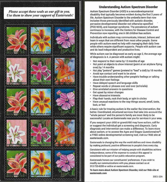 Easter Seals 2020. Understanding Autism Spectrum Disorder